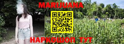 индика Будённовск