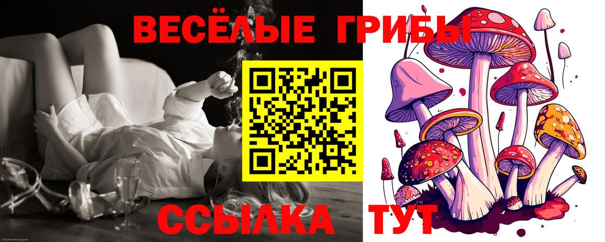 Галлюциногенные грибы GOLDEN TEACHER  Вход с VPN  Тутаев  Галлюциногенные грибы прущие грибы 